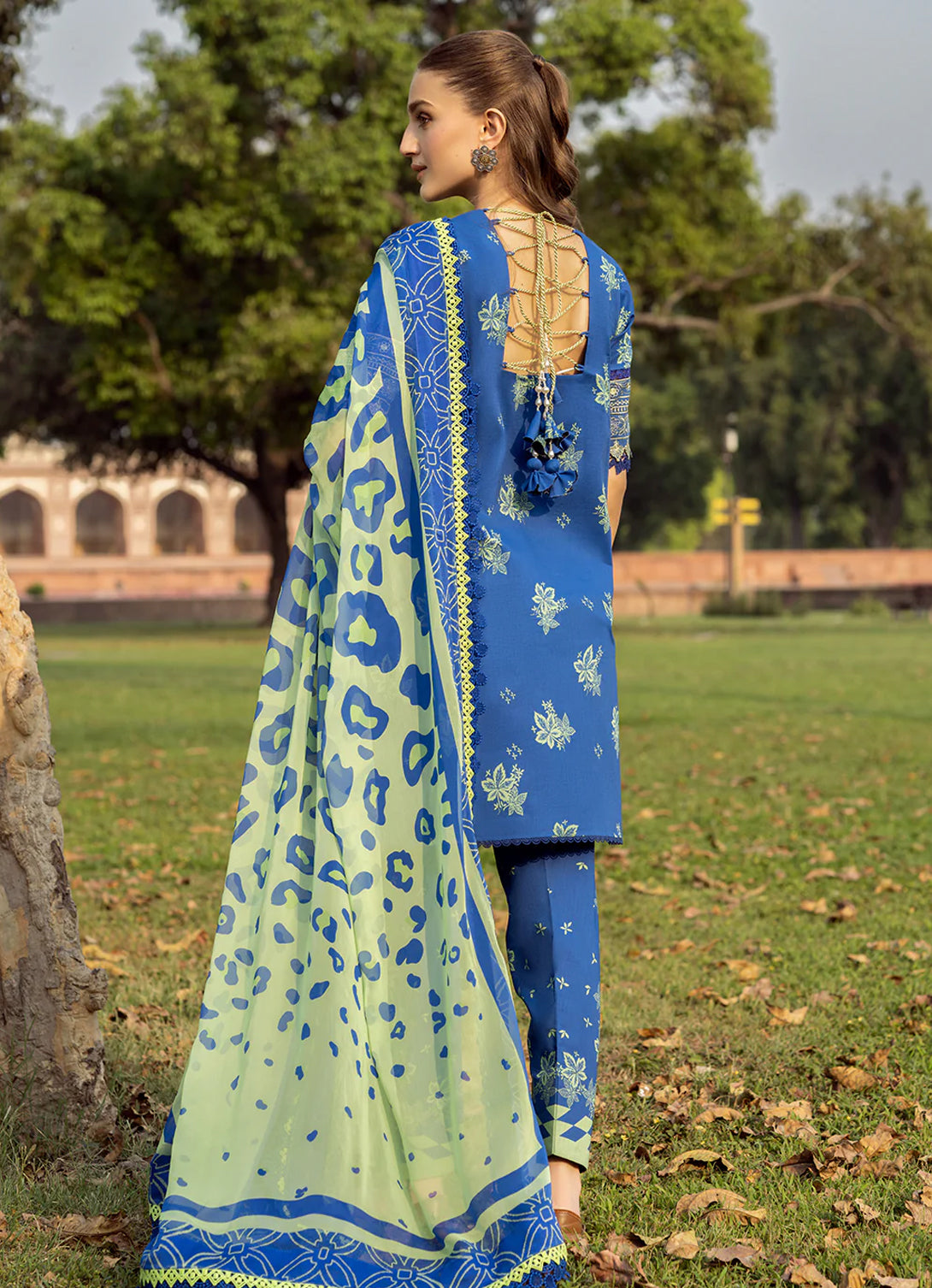 Bin Ilyas Naqsh Naaz Luxury Lawn '25 - 2088 - B