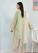 Coco Summer Lawn'25 - SERENE-2A