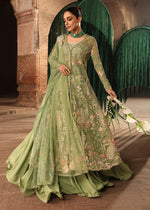 Crimson Jhilmil Collection’26-Matwali