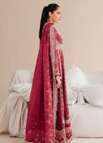Jazmin IRIS LUXURY LAWN IL'25 - D08