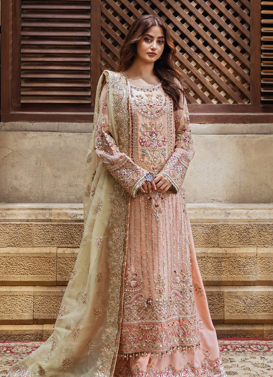 Imrozia - Sajal Bridal Collection - SB-27 Zarqash