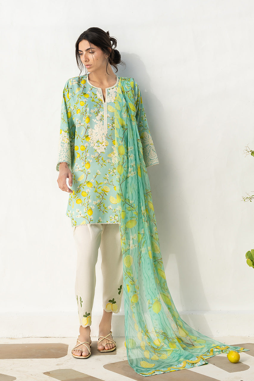 Sania Maskatiya Lawn’26-Ambar(A)