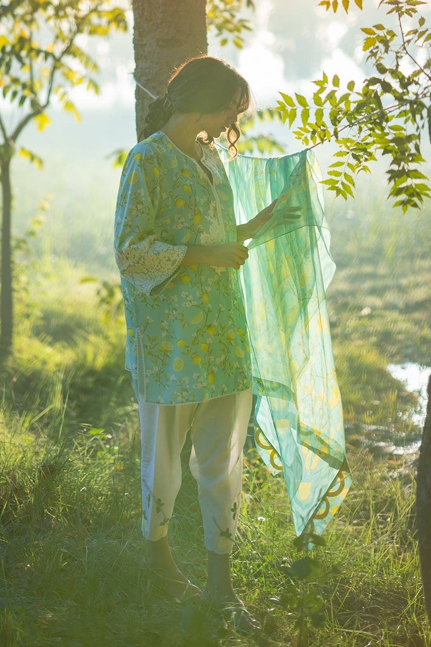 Sania Maskatiya Lawn’26-Ambar(A)
