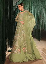 Crimson Jhilmil Collection’26-Matwali