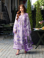 Jade Ombre’26-Mauve